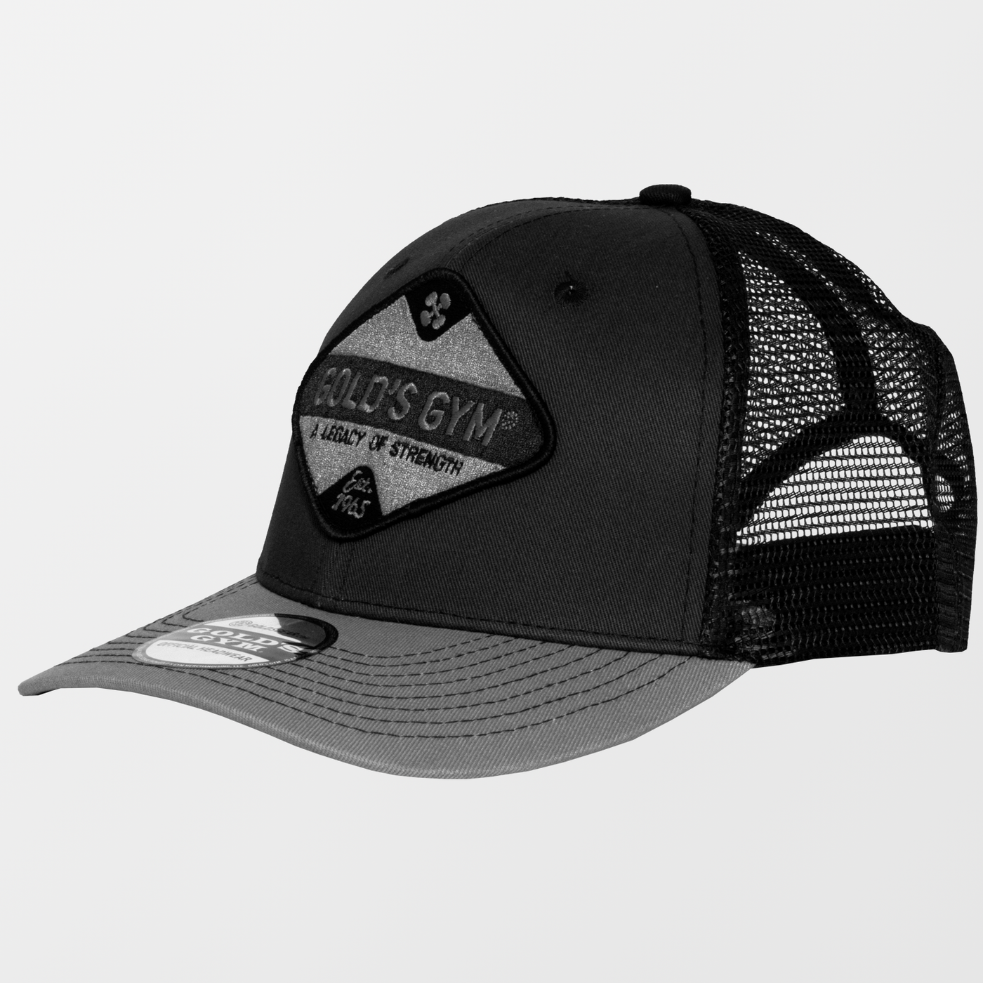 Vintage Patch Mesh Cap