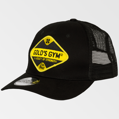 Vintage Patch Mesh Cap