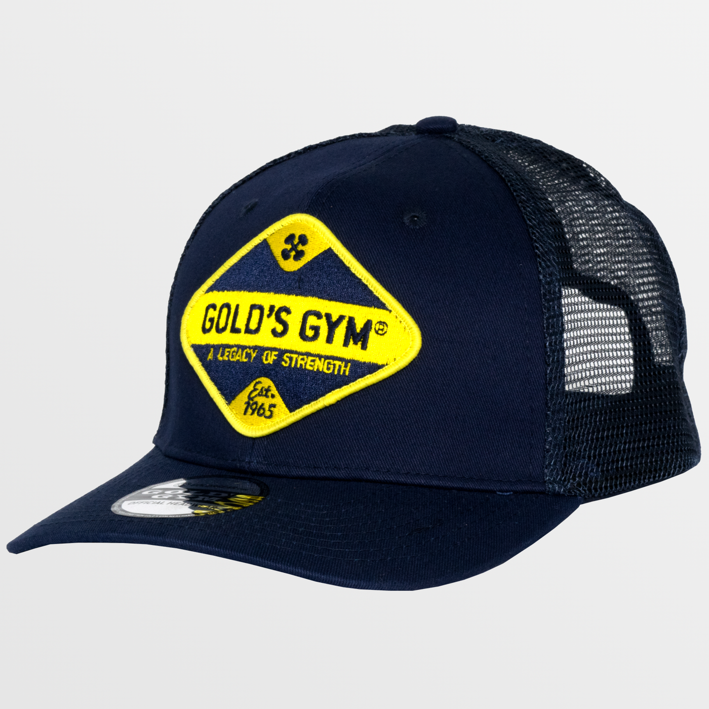 Vintage Patch Mesh Cap