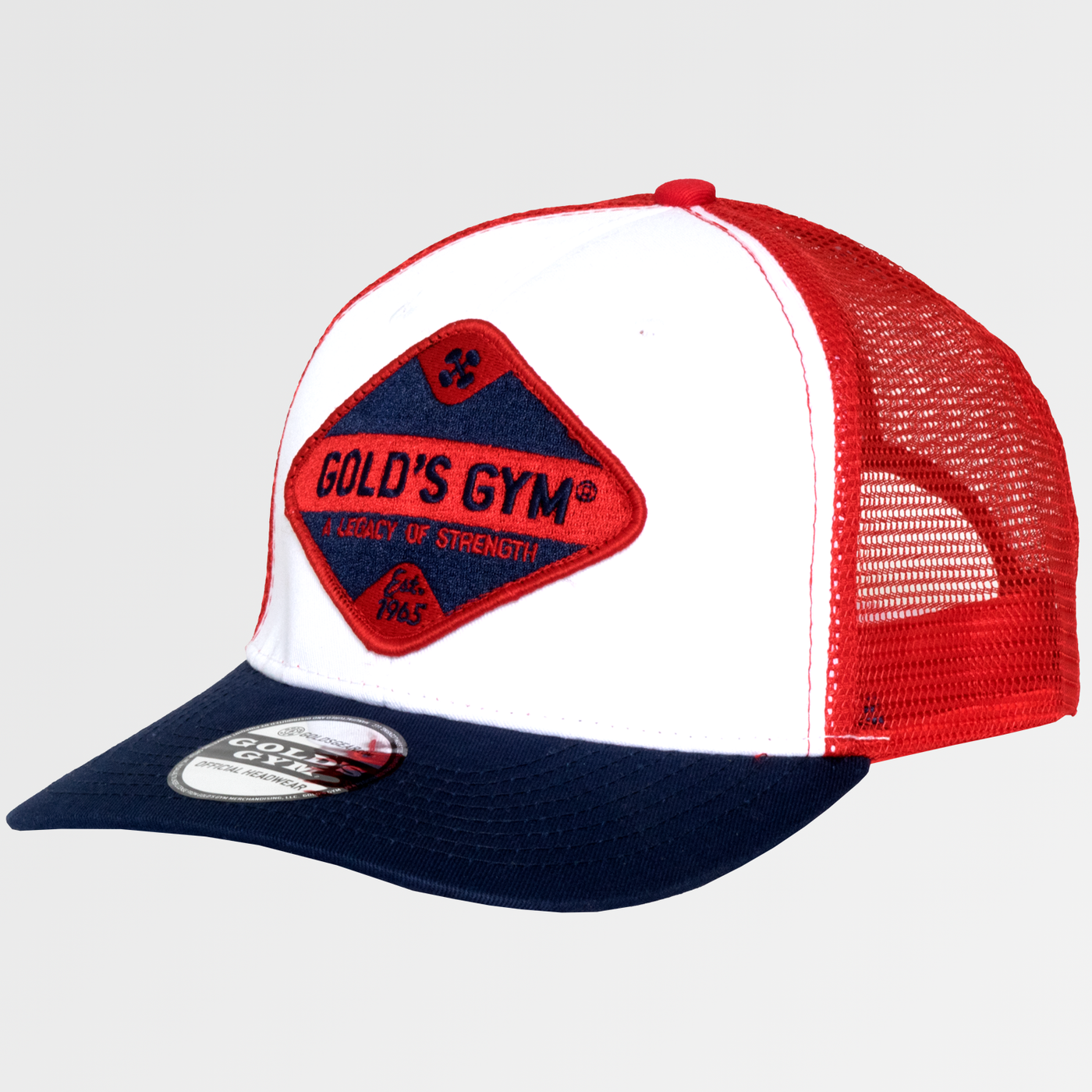 Vintage Patch Mesh Cap